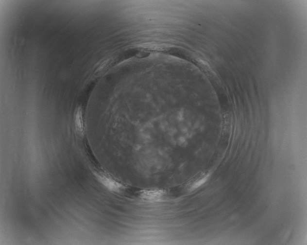 X0000076060143200609291235