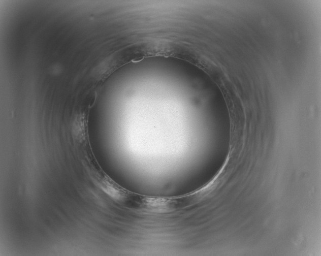 X0000076060144200609291235