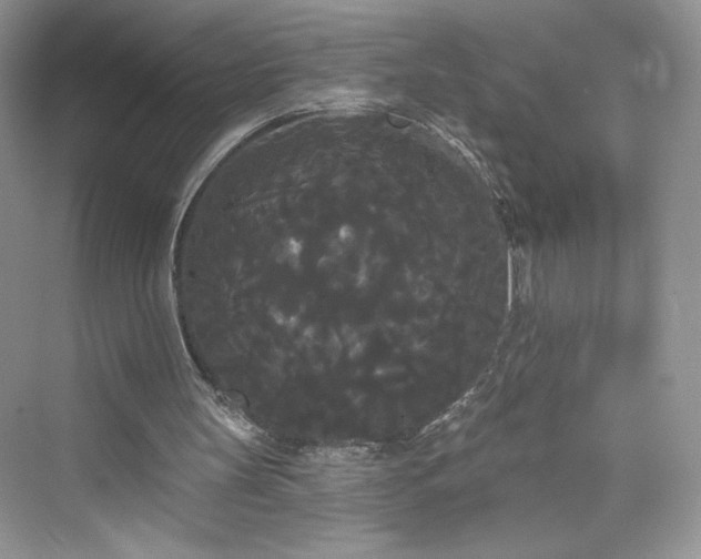 X0000076060147200609291234