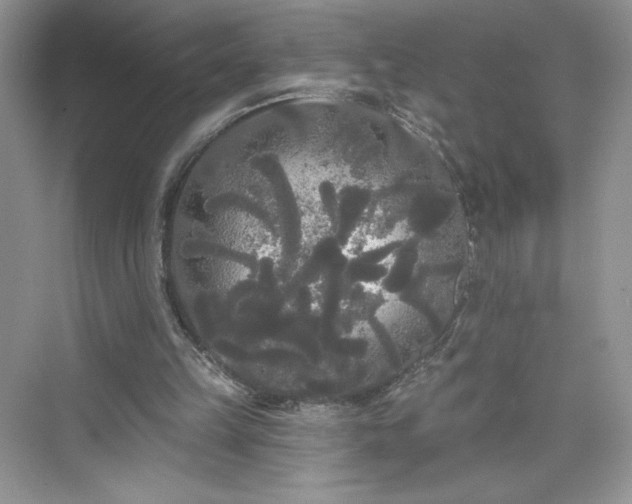 X0000076060149200609291234