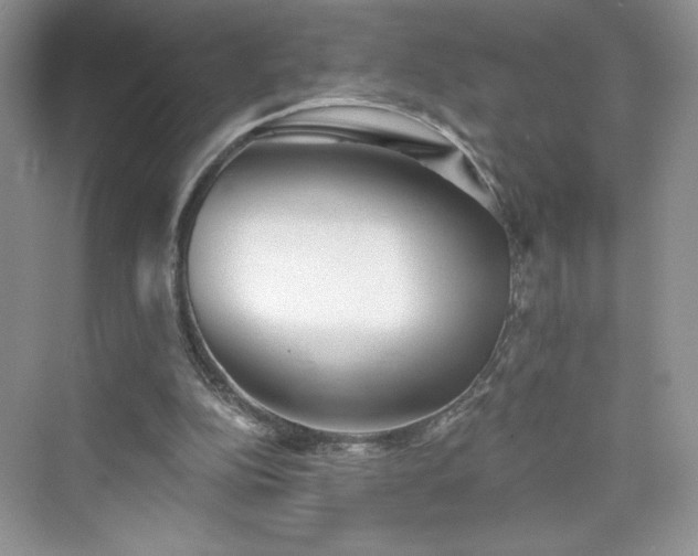 X0000076060152200609291234