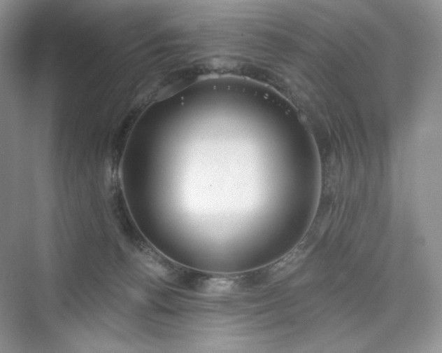 X0000076060176200609291234