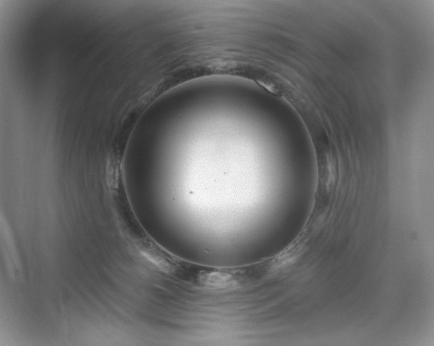 X0000076060180200609291234