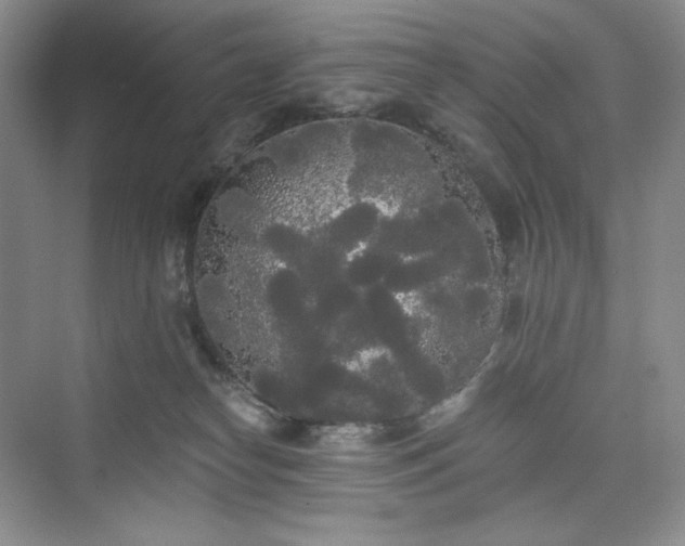 X0000076060182200609291235