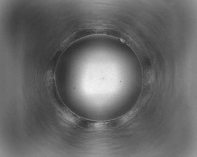 X0000076060184200609291235