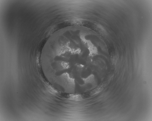 X0000076060185200609291235