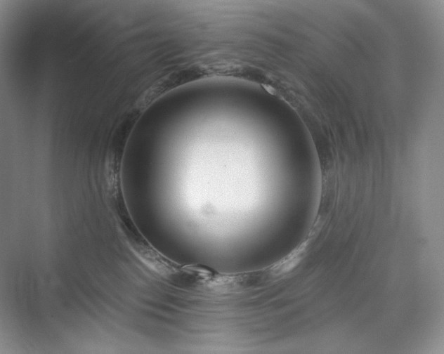 X0000076060186200609291235