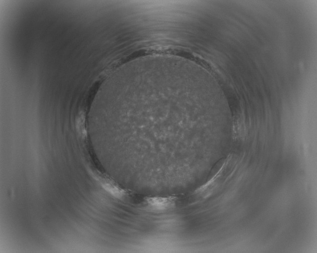 X0000076060187200609291235