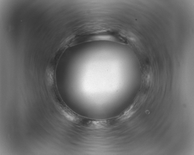 X0000076060188200609291235