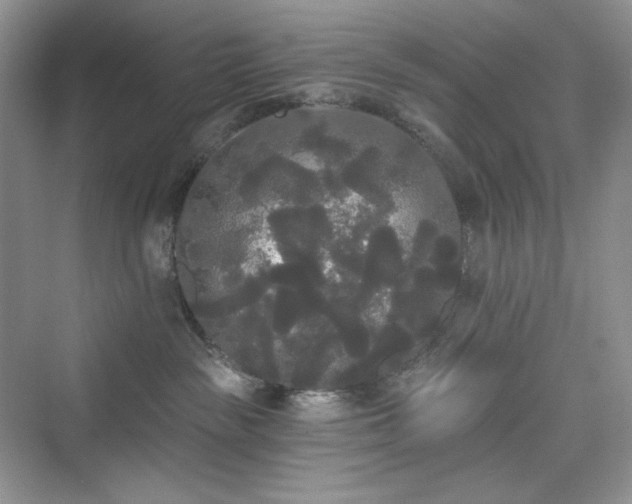 X0000076060189200609291235