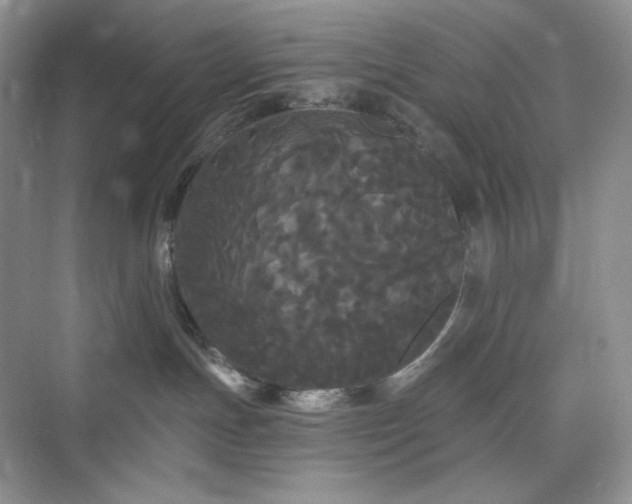 X0000076060191200609291235