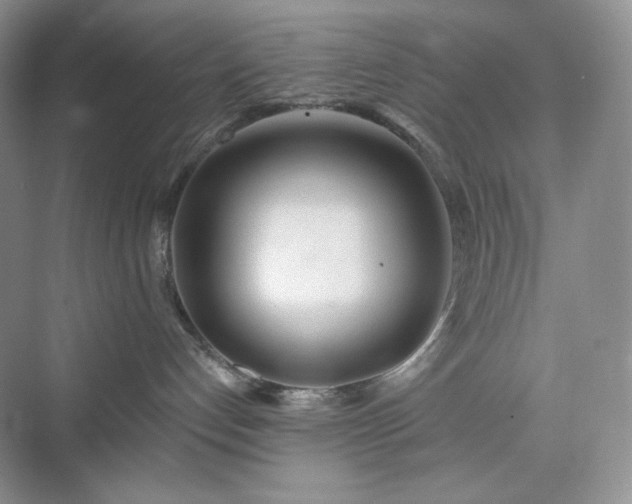 X0000076060192200609291235