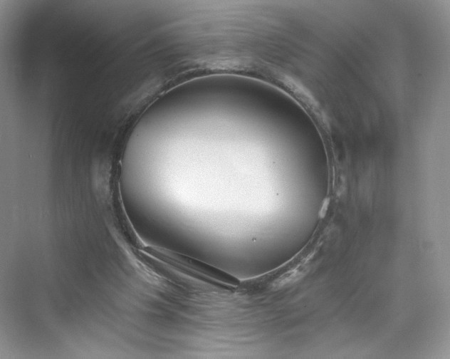 X0000076060201200609291234