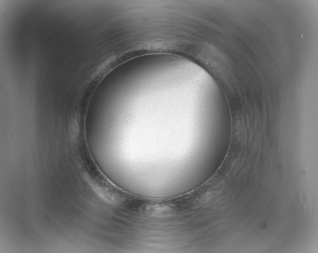 X0000076060208200609291234