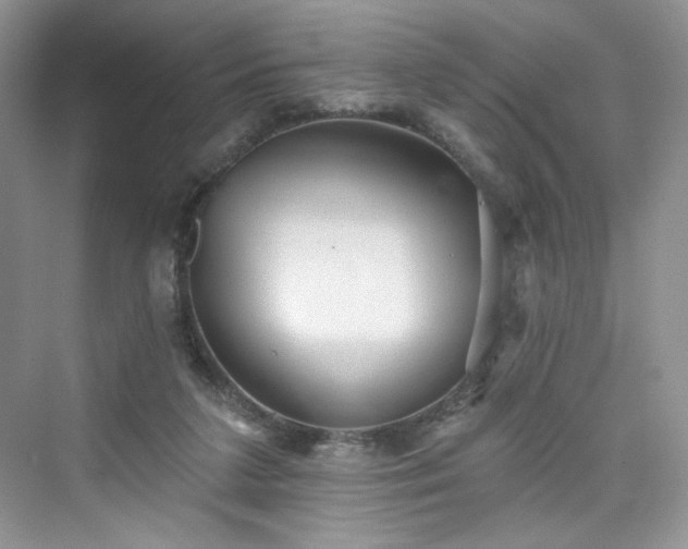 X0000076060211200609291234