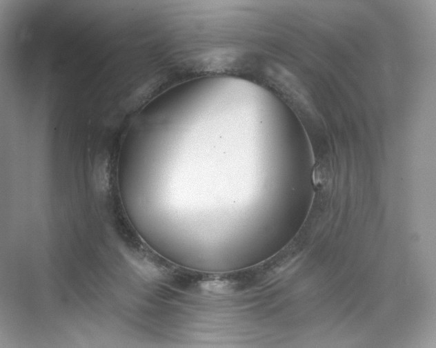 X0000076060216200609291233