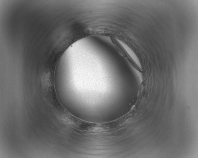 X0000076060224200609291233
