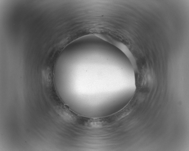 X0000076060228200609291233