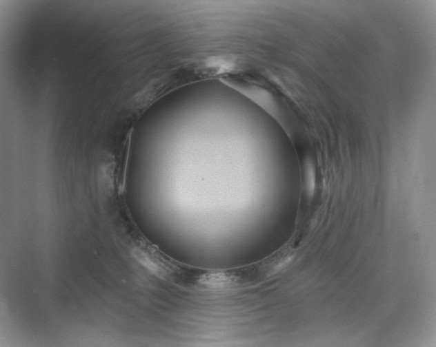 X0000076060231200609291233