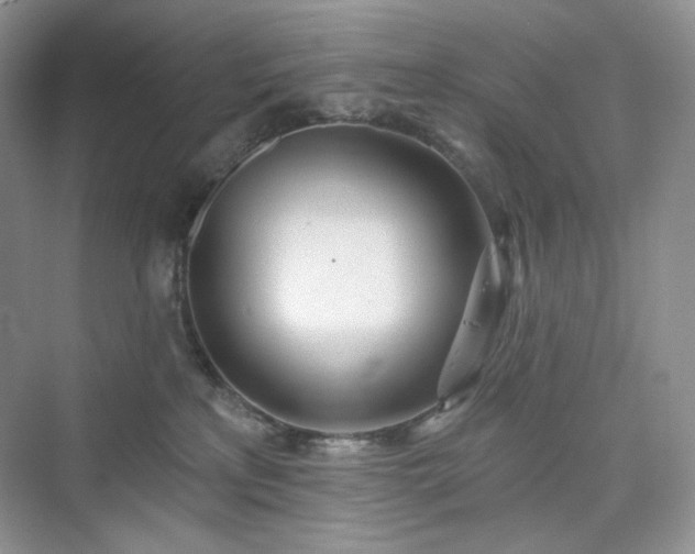 X0000076060233200609291233