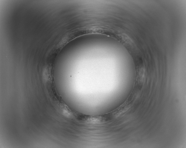 X0000076060236200609291233