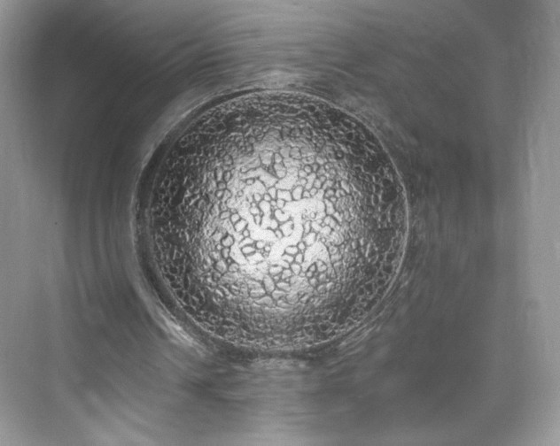 X0000076060242200609291232