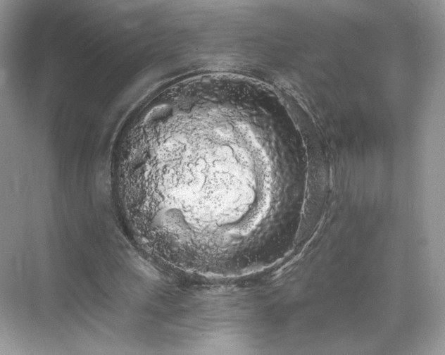 X0000076060243200609291232