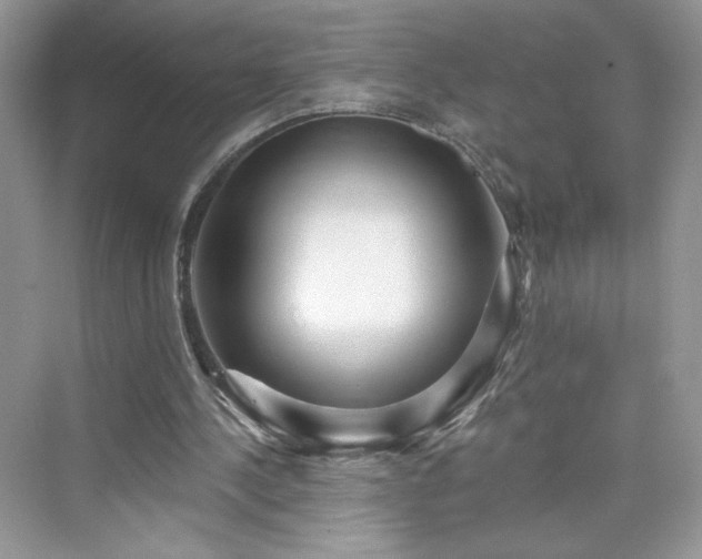 X0000076060244200609291232