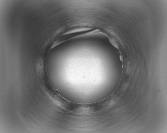 X0000076060260200609291233