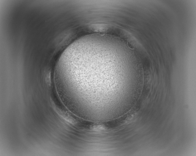 X0000076060262200609291233