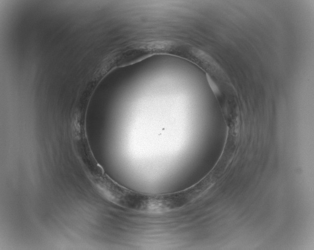 X0000076060264200609291233
