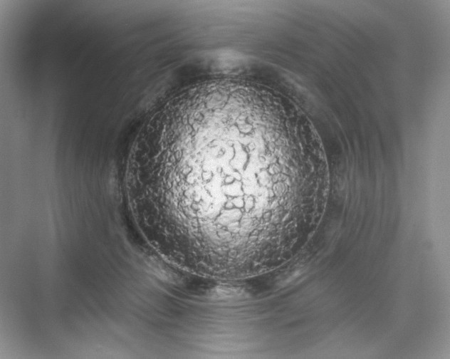 X0000076060270200609291233
