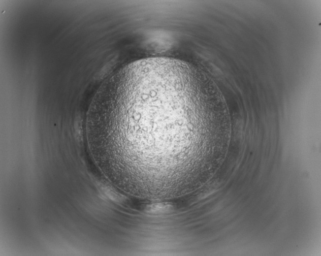 X0000076060274200609291233