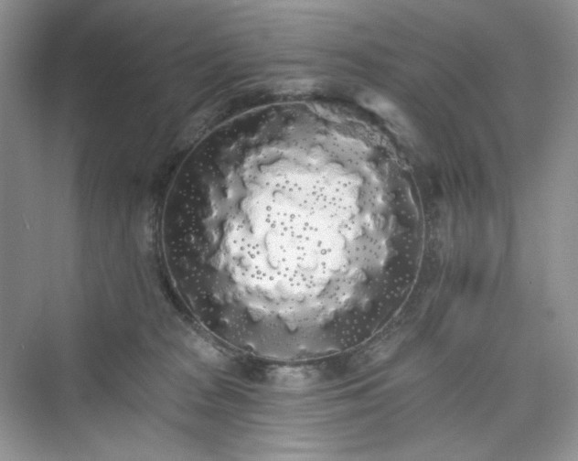 X0000076060277200609291233