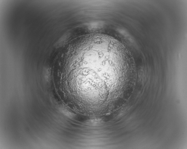 X0000076060278200609291233