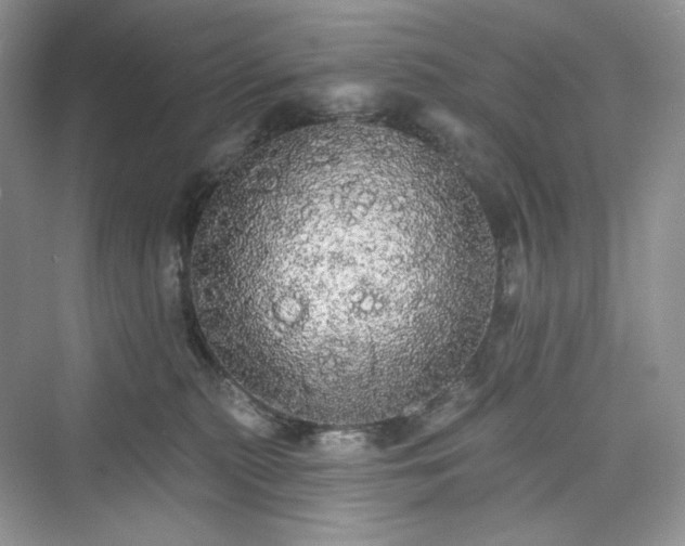 X0000076060279200609291233