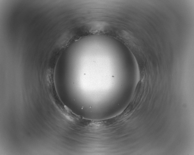 X0000076060280200609291233