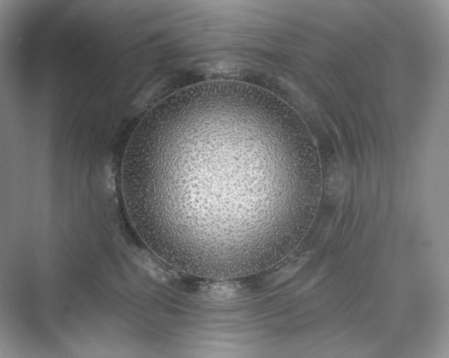 X0000076060282200609291233