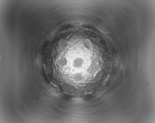 X0000076060283200609291233