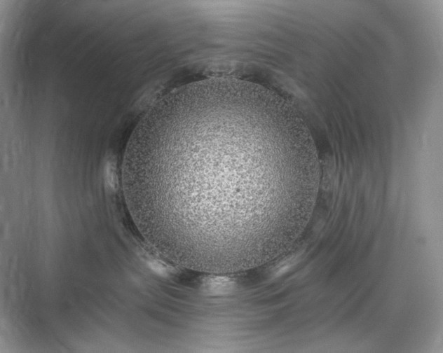 X0000076060287200609291233