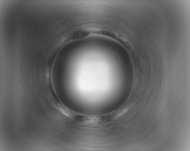 X0000076060288200609291233