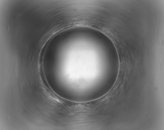X0000076060290200609291232