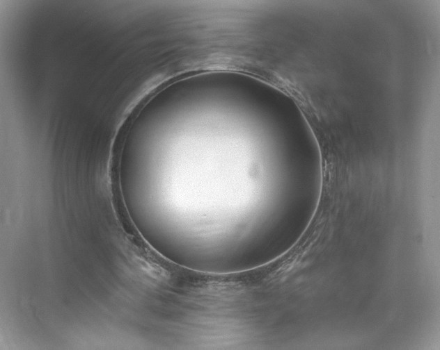 X0000076060292200609291232