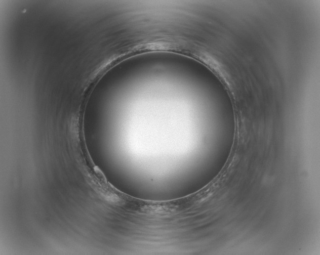 X0000076060297200609291232