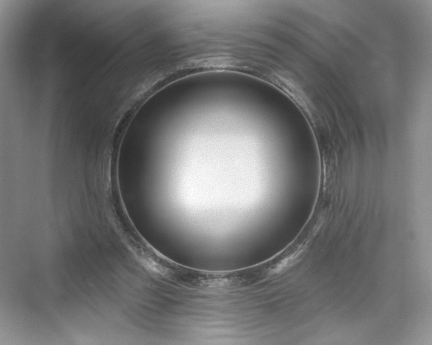 X0000076060301200609291232
