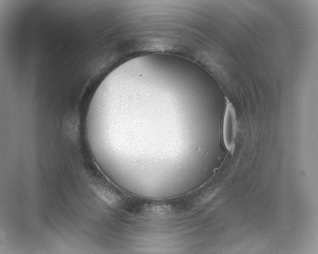 X0000076060304200609291232