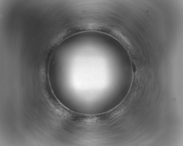X0000076060306200609291232