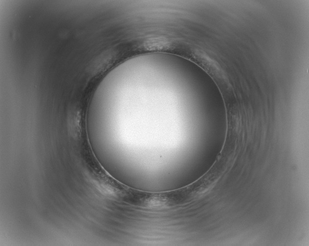 X0000076060308200609291232