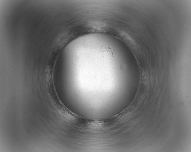 X0000076060318200609291232