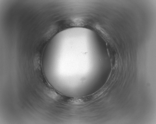 X0000076060322200609291232